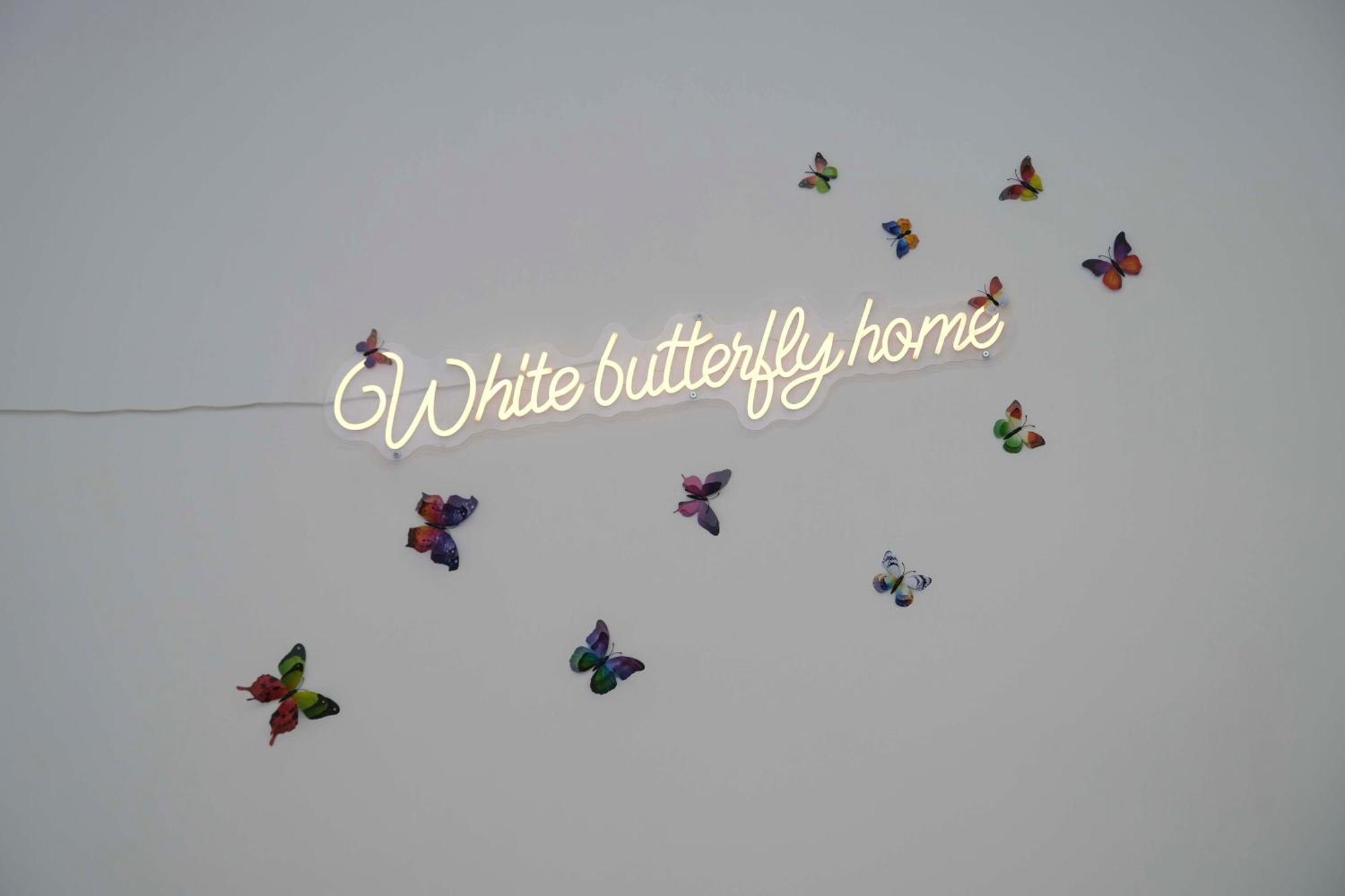 White Butterfly Home Naples Exterior photo